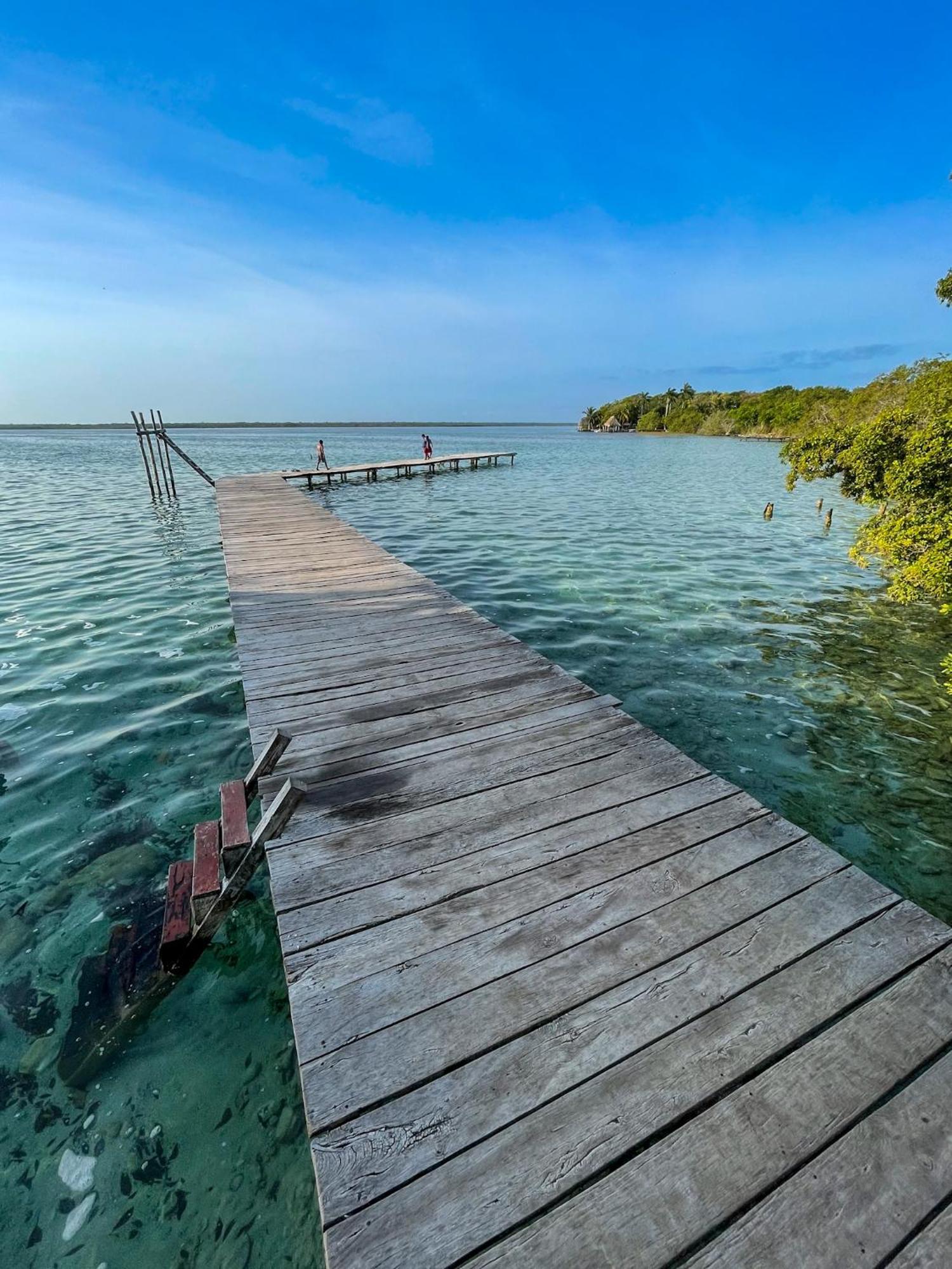 Bufo Alvarius Sanctuary Bacalar Buenavista  Buitenkant foto